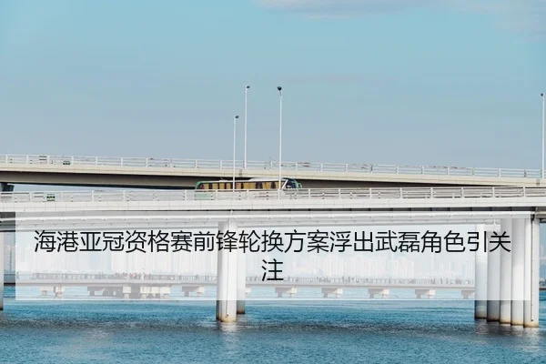 海港亚冠资格赛前锋轮换方案浮出武磊角色引关注